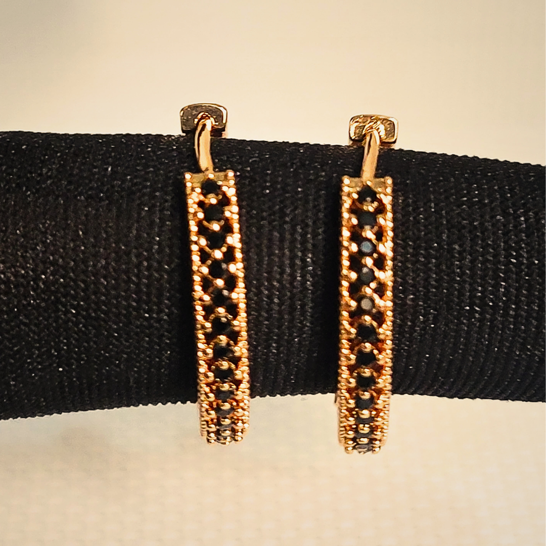 Premium Hoop earrings