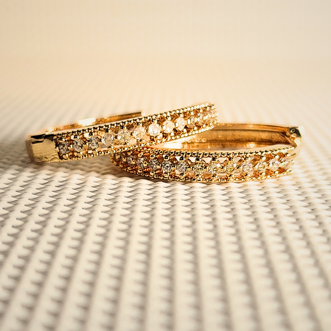 Premium Hoop earrings