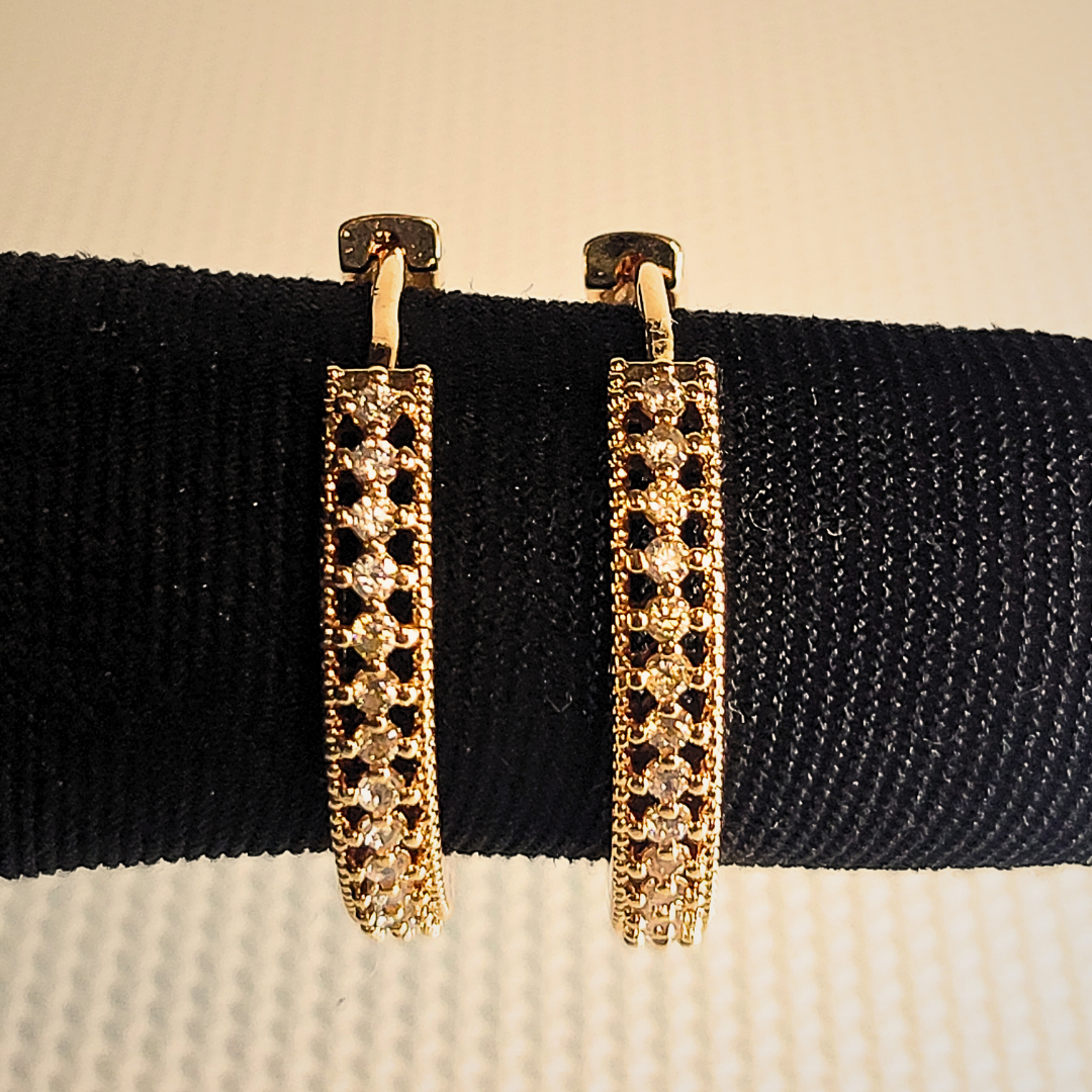 Premium Hoop earrings
